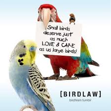 You can get inspiration for your own online business from these peer shopify websites. Fitchburg Exotic Bird Club And Expo Home Facebook