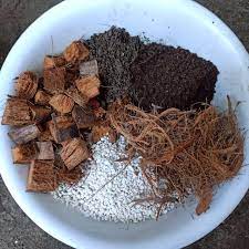 The truth is there is no such thing. Our Aroids Soil Mix Best For Marahuyong Hardin Facebook