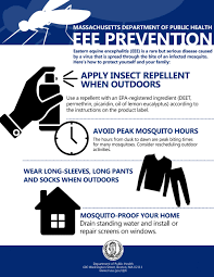 West Nile Virus And Eee Are Back! Prevent Mosquito Bites! - Frcogfrcog