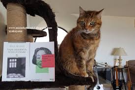 Moonlightcat13 Kitap Alisverisi Kitap Ikiz