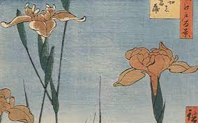 Learn how to start your own art collection, regardless of your budget or tastes. The Aesthetic Harmony Of Japanese Nature Engelsberg Ideas