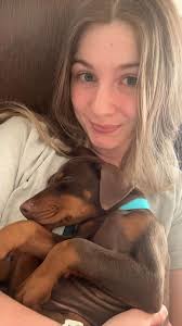 My Love is My Dobermann