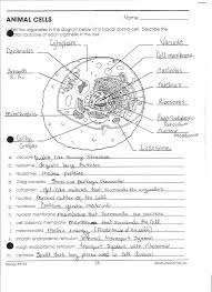 Pin On Nursing Tips Tricks