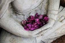 Small Group Class: Gentle Yoga & Meditation