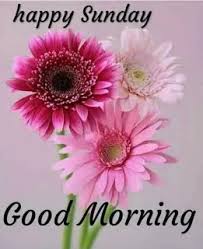 Good morning quotes with images with flowers. Happy Sunday Good Morning Images In Hindi Photo Of The Day Goodnightimagenet