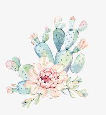 Hand Painted Watercolor Flowers Green Plants Cactus Watercolor Clipart Plants Clipart Png Transparent Clipart Image And Psd File For Free Download Cactus Wall Art Flower Illustration Art