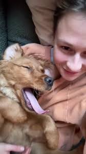 Adorable Dog Yawns Compilation