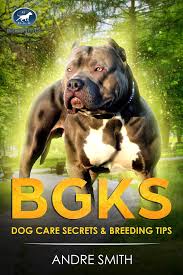 Feel free to contact us by email , phone or. Xl Big Blue Pitbull Puppies For Sale