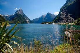In recent years, the government has sought to address longstanding maori grievances. New Zealand Times Of India Travel