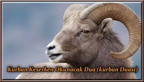 Kurban Keserken Okunacak Dua Kurban Duasi 2020 Dualar Hayvan Din