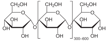 It is the most common carbohydrate in human diets and is contained in large amounts in staple foods like potatoes, maize (corn), rice, wheat and cassava (manioc). Amylose Wikipedia