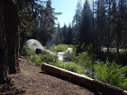 This campground review gives you the best sites, shows you epic features, and. Sequoia National Park Rv Camping At Its Best 5 Spots You Must Check Out The Travel Mom