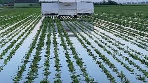 Regelmatig zie je foto's voorbijkomen van ondergelopen. Kritiek Op Hhnk Na Wateroverlast Noord Holland Akkerwijzer Nl Nieuws En Kennis Voor De Akkerbouwers