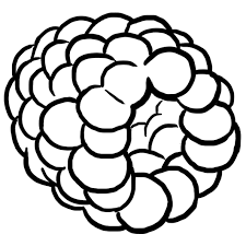 framboise dessin a colorier coloriage printable pdf jeu imprimer illustration de julien castanie art projects bullet journal famille pages lol