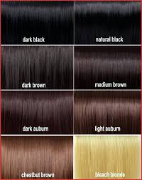 Loreal Blonde Hair Color Chart 164134 L Oreal New Hair Color Elegant Hair Color Products And Dark Brown Hair Color Brown Hair Color Chart Hair Color Dark