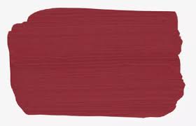 أفضل ألوان جدران المطبخ البيج هيريح نفسيتك والأحمر فاتح للشهية اليوم السابع