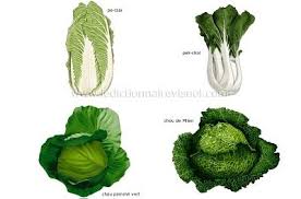 Les Legumes Feuilles Idee Legume Legumes Variete De Salade