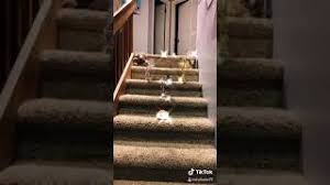 15:07 18 year old gets monster black dick. Mxtube Net Video Viral Baby Caca Pap Tetek No Sensore Mp4 3gp Video Mp3 Download Unlimited Videos Download