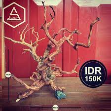 Idr 150 000 Rasamala Wood Line Edza Wa 0856 288 6286 Aquascape Aquascaping Wabikusa Aquascapeindonesia Aquascapepl Aquascape Aquatic Plants Hardscape
