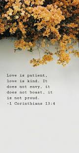 Pinterest In 2020 Family Holiday Destinations Love Is Patient Bible Verse Wallpaper