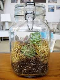 17 Cadeaux Geniaux A Offrir Dans Un Bocal En Verre Idees Terrariums Bocaux En Verre Terrarium De Plantes Grasses