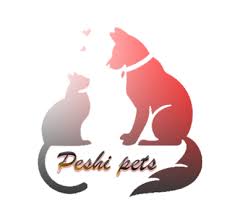 Kedai rasmi honor di shopee. Online Pet Store Dubai Uae Buy Kitten Dog And Birds Peshi Pets