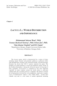 Image result for Lactuca lasiorhiza