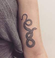 Serpent Tattoo Tattoo Snake Arm Snake Tattoo Design Inner Arm Tattoos