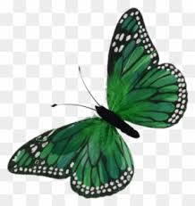 Bunte schmetterlingsmotive ausdrucken / 1001 tolle ideen wie sie schmetterling basteln schmetterlinge basteln schmetterling vorlage selber basteln : Schmetterling Clipart Transparent Png Clipart Images Free Download Clipartmax