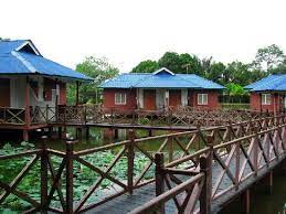 We did not find results for: Spectacular Firefly Kelip Kelip Show By Nature Review Of Firefly Park Resort Kuala Selangor Malaysia Tripadvisor