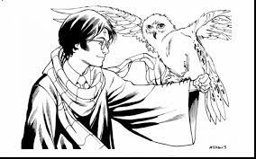 Popular harri potter owl of good quality and at affordable prices you can buy on aliexpress. Hedwig Coloring Pages Coloring Home