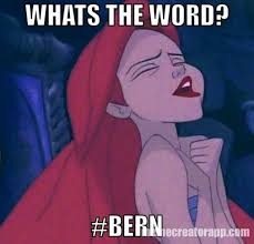 Feeling The Bern These Are The Best Bernie Sanders Memes On The Aurora Sleeping Beauty The Little Mermaid Princess Ariel