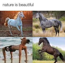 Nature Is Beautiful Horse Meme Memezila Com