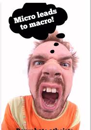 How does mutation add, subtract or replace genetic information?