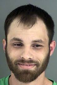 Man says grandson stole gun, laptop and iPod from his home