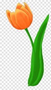 This clipart set includes 9 hand painted, high resolution watercolor clipart elements: Tulip Flower Bouquet Cut Flowers Drawing Orange Transparent Png