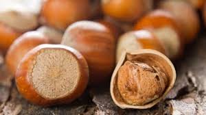 It also helps if you plant them all in a group. Hazelnut Wholesale Price Mandi Rate For Filbert In India