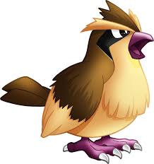 Pokemon 2016 Shiny Pidgey Pokedex Evolution Moves