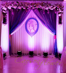 Kết quả hình ảnh cho cẩm tú cầu nhiều màu