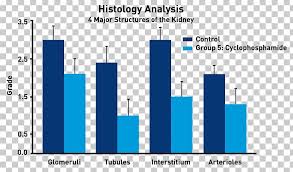 Graphic Design Systemic Lupus Erythematosus Graphics Graph