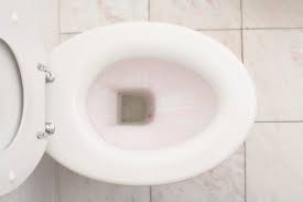 What Kind Of Paint Should You Use To Paint A Toilet Bowl Ehow Com Toilet Bowl Stains Clean Toilet Bowl Toilet Stains