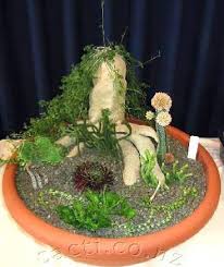 Image result for Kedrostis nana