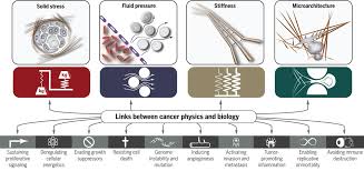 The best crystals for cancer: Physical Traits Of Cancer Science