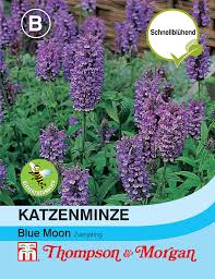 Listen to katzenminze | soundcloud is an audio platform that lets you listen to what you love and share the sounds you create. Katzenminze Blue Moon Minzesamen Von Thompson Morgan Samenhaus Samen Samereien