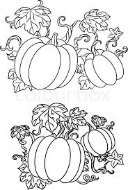 Stock Vector Of Black And White Line Drawings Of Pumpkins Growing On Trailing Vines With Leaves For Hallowe Pumpkin Coloring Pages Vine Drawing Coloring Pages