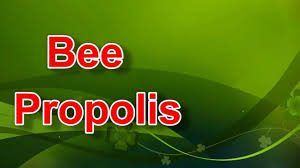 Propolis or bee glue is a resinous mixture that honey bees collect from tree buds, sap flows, or other botanical sources. How To Eat Propolis Youtube