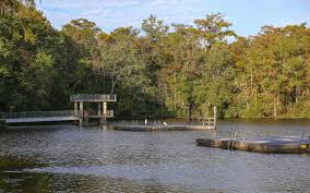 Wakulla springs is a place where history stretches back thousands of years, from early native americans who lived in shoreline villages to filmmakers who recognized the primeval quality of the park's swamps and wildlife when they decided to film tarzan's secret treasure (1941) and creature from the black lagoon (1954) here. Edward Ball Wakulla Springs State Park Outdoor Project