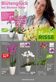 Floristikfachgeschafte Aktuelle Werbung Prospekte Mit Tollen Grunpflanzenangeboten Aktuelles Blumen Risse Blumen risse , revendeurs lafuma mobiler à dortmund / indupark propose le meilleur du mobilier de jardin.