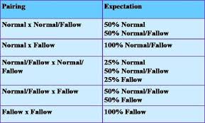 Fallow Breeding Expectation Table African Lovebirds African Love Pet Birds