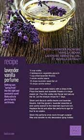Lavender Vanilla Vanilla Perfume Lavender Perfume Dried Lavender Flowers